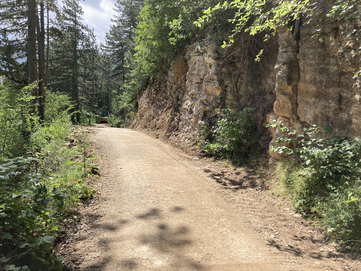 Création de piste forestière